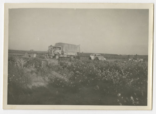 The headquarters lorry, Arthur Howe, Jr.'s staff car and a jeep parked in a field of flowers. Recto